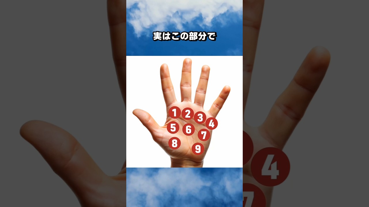手相でわかる私の性格と運命診断
