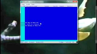 Hello World, The Hesseling Editor, Rexx, Regina
