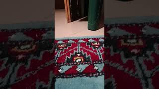 15 نوفمبر 2025