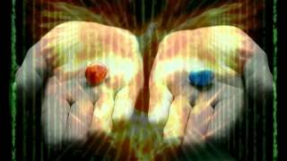 Team Plain Archer Video Intro screenshot 5