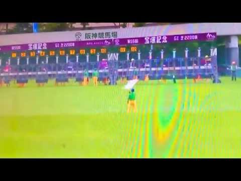 2014年 宝塚記念 ゴールドシップ