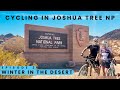 Cycling Joshua Tree National Park