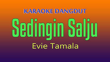 SEDINGIN SALJU - KARAOKE DANGDUT EVIE TAMALA
