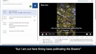 How to caption YouTube videos