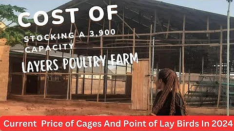 HOW MUCH IT COST TO STOCK A LAYERS POULTRY PEN|| PRICE OF CAGES AND POINT OF LAY CHICKENS IN 2024