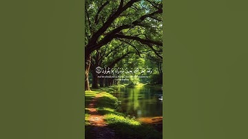 #قرآن #راحة_نفسية #تلاوة_خاشعة #اكسبلور #shortvideo #المصحف #لايك #quran