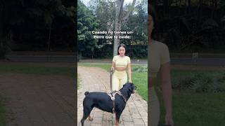 Ustedes aman los perritos #laurasofia #humor #comedia #co...