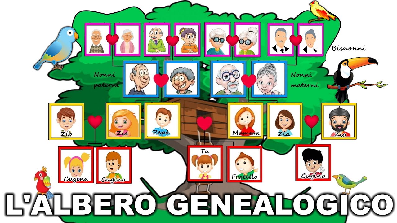 🌳👴➡👦 ALBERO GENEALOGICO: ascendenti, discendenti e generazioni (Lezione  Storia Scuola Primaria ⏳📚) 