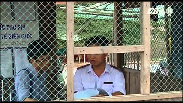 VTC14_ĐBSCL: Nguy cơ lây lan cúm gia cầm từ Campuchia