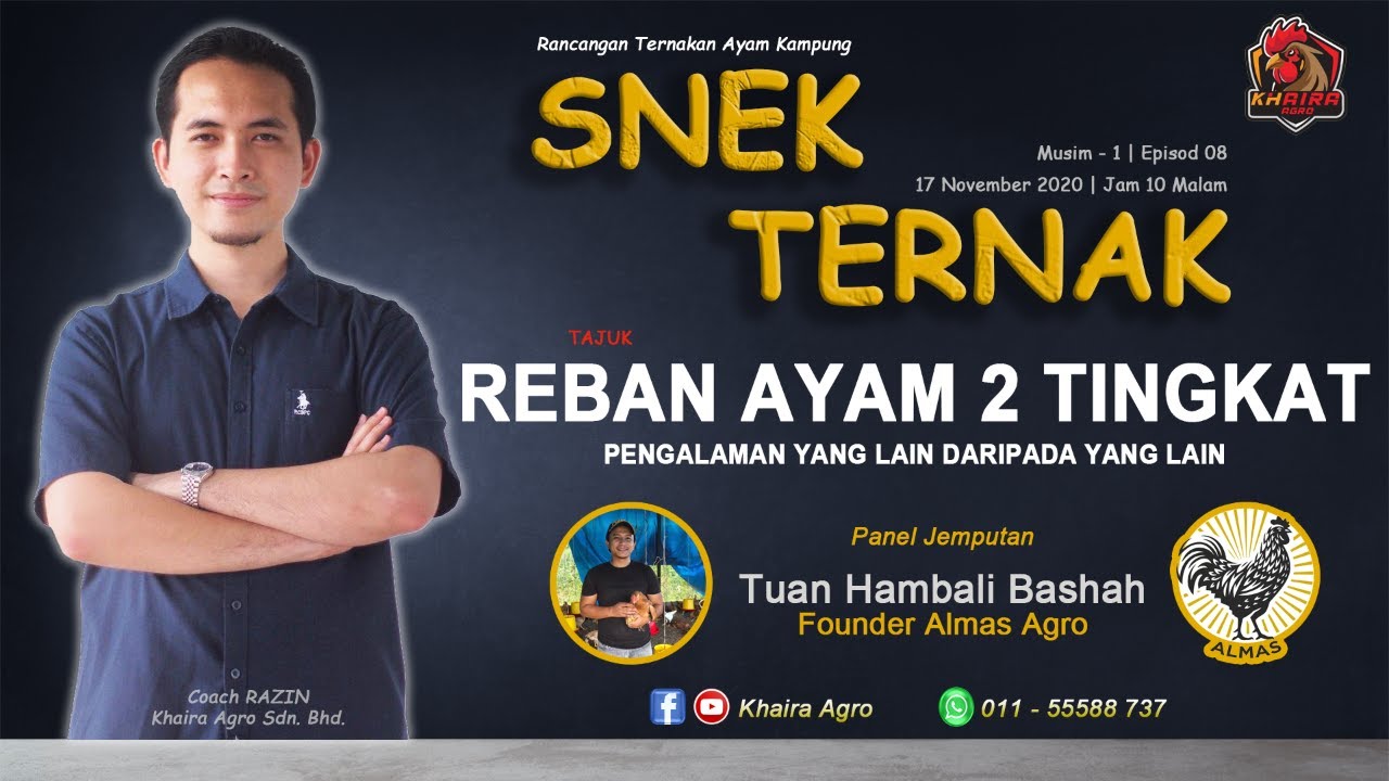 SNEK TERNAK EP08| REBAN AYAM 2 TINGKAT