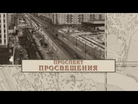 Проспект Просвещения / «Малые родины большого Петербурга»
