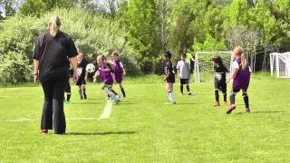 01073 - FCV Ashburn Rec Program - May 2015