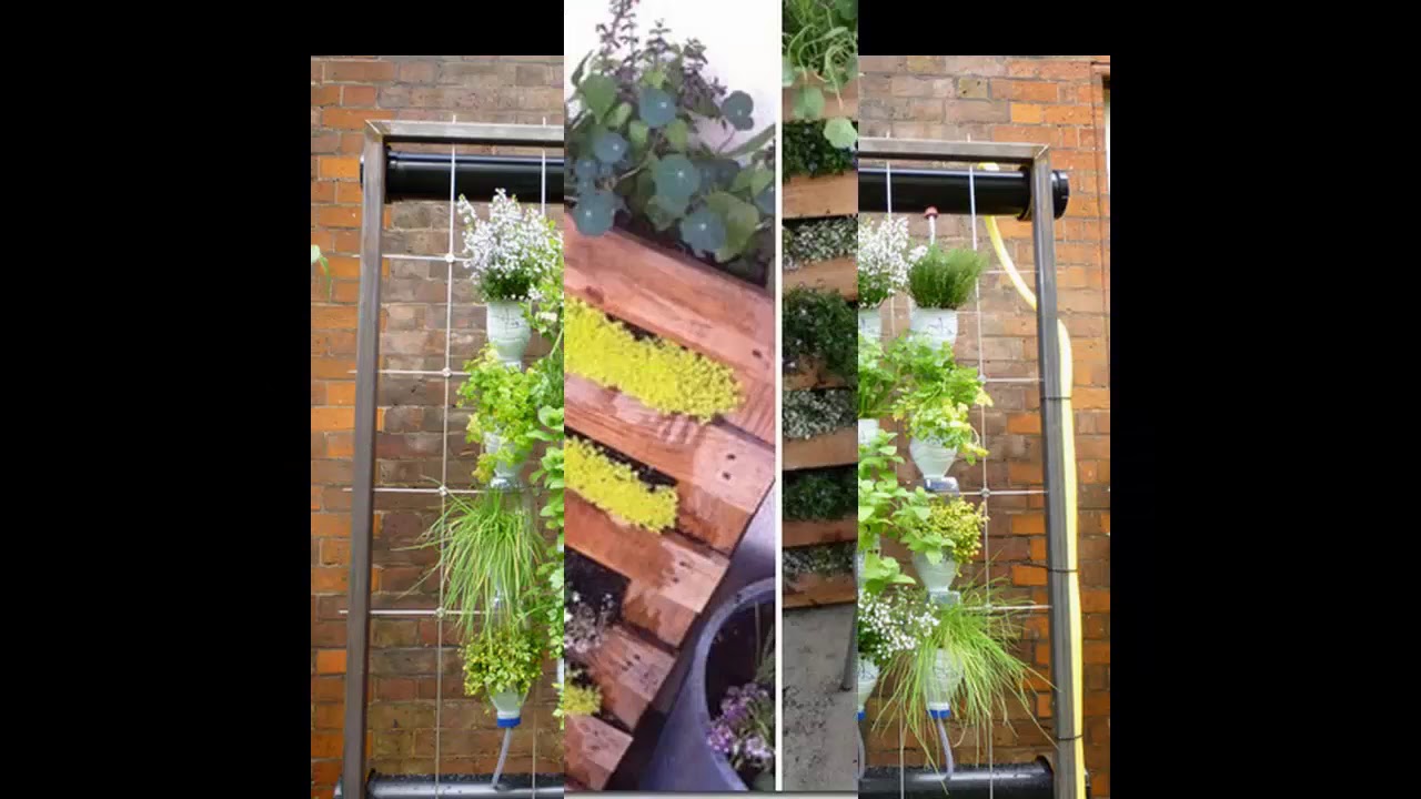 Jardín balcón jardín de diseño