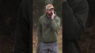 The Hunting Public Alpha Mouth Call #hunting #woodhaven #explore
