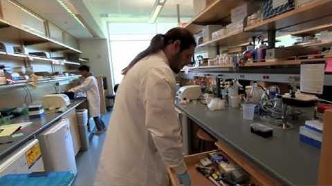 UCSF iGEM 2011 - SynBerc