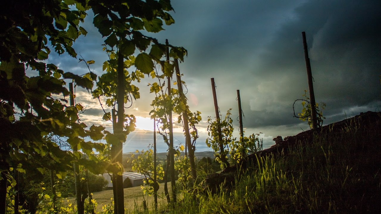 RAW Timelapse • Moving Clouds • Canon EOS 750D [4K]
