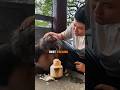 This Monkey's Reaction Melt Your Heart ❤️🐵#shorts