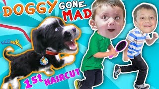 OUR PUPPY BITES \& CHASES US AROUND HOUSE! OREO, Princess or Beast FUNnel Vision Doggy Vloggy