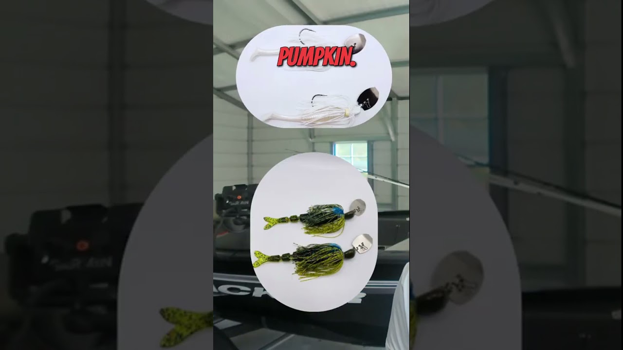 СТОП! Вы бросаете НЕПРАВИЛЬНЫЙ цвет приманки.