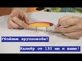 Крупные воблеры на щуку: основы и популярные модели