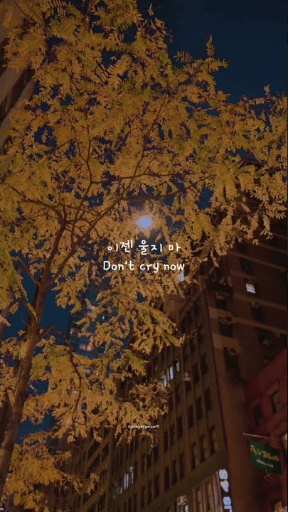 ; whenever you feel exhausted, listen to this [ 🎶Seventeen - Hug ]
