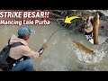 Berkali kali straike mancing di bekas hutan yang dibongkar excavator