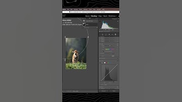 How to Add Light Behind a Subject in Lightroom Classic