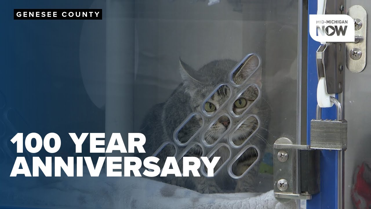Humane Society of Genesee County celebrates 100 years of service