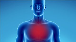 why does my chest hurt when i sneeze
