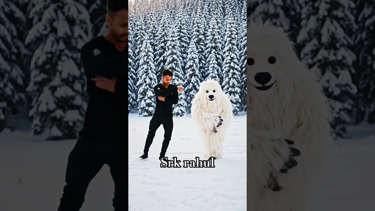 tune Pathan meri jaan