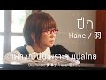 เพลงญี่ปุ่นเพราะๆ / Oku Hanako 奥 華子 「羽 / Hane / ปีก」แปลไทย