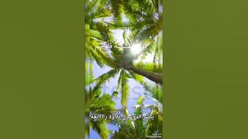 سورة الزمر الآية " 22 "