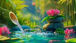Piano Relaxing Music, Healing, Concentration, Work, Calming, Nature Sounds, Bamboo Water Sounds