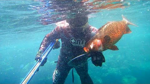 Amazing Diving skill Hunting Giant Octopus Underwater   Big Octopus Hunting   Deep Sea Fishing