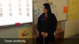 Team Authority