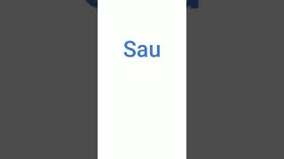 Confusing Words. Difference Between Sauce Ketchup.