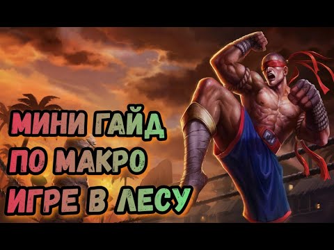 ОСНОВЫ МАКРО ИГРЫ В ЛЕСУ ИХ ДОЛЖЕН ЗНАТЬ КАЖДЫЙ! | League Of Legends: Wild Rift
