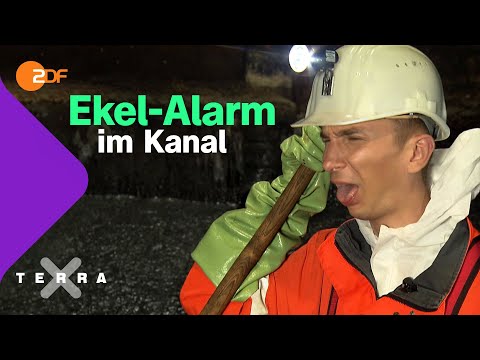 Video: Wie reinige ich die Kanalisation in meinem Kriechkeller?