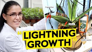 Farming With Electricity Is Going To Change EVERYTHING!