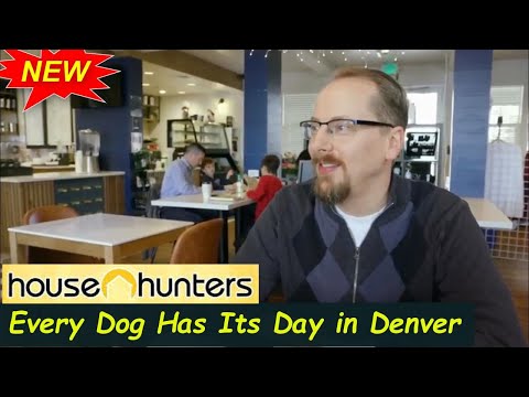Video: Happy Pup viser mennesker for å bare la gå og leve i øyeblikket