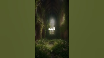 سورة غافر | الآية 39-40.