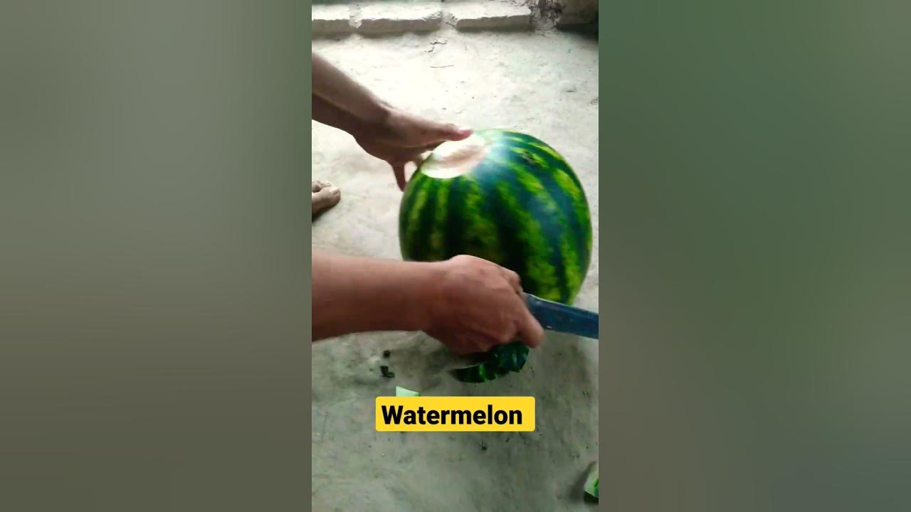 watermelon uzbekistan - YouTube