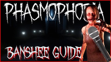 How to identify the Banshee in 1 minute!