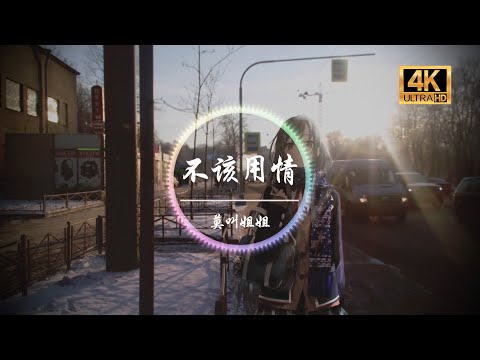 莫叫姐姐《不该用情-女声版》4K画质「也许当初不该用情 如今不会再有痴情」动态歌词版