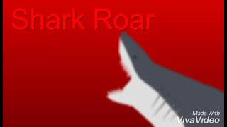 Shark Roar