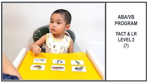 Tact & Listener Responding Level 2 (7)