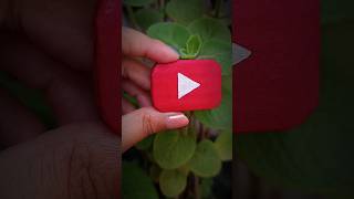 How To Make Youtube Play Button | DIY Mini YouTube Play Button shorts youtubeplaybutton craft