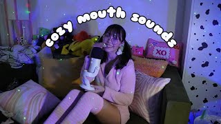 ASMR Comfy Cozy Mouth Sounds (Fast & Slow, Wet & Dry)