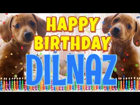 Happy Birthday Dilnaz! ( Funny Talking Dogs ) What Is Free On My Birthday