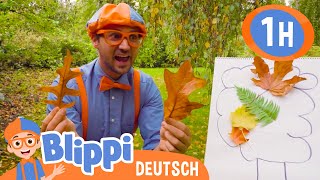Herbstfarben lernen mit Blippi 🍂🍁 Blippi Deutsch | Abenteuer und Videos für Kinder